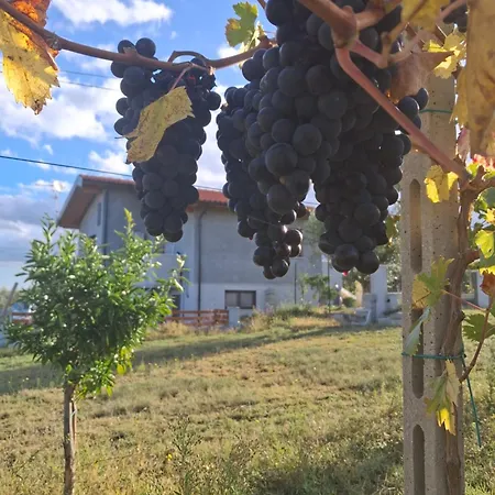 La Casa Nel Vigneto 2